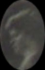 19%20ott%20louise.jpg